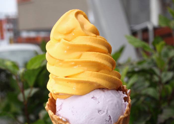 Blue Seal Ice Cream